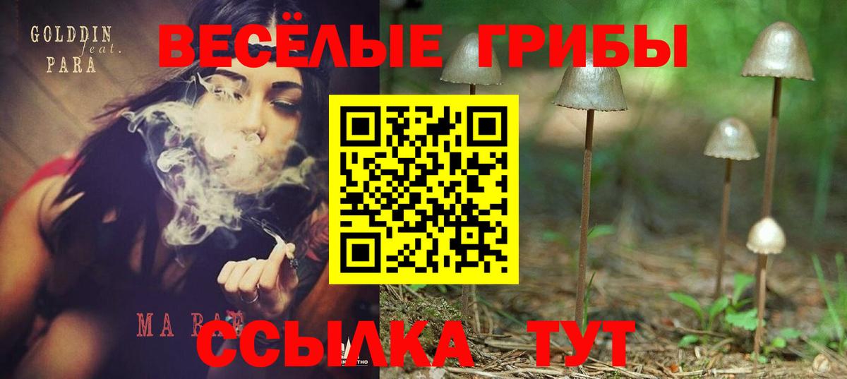 Галлюциногенные грибы прущие грибы  Галлюциногенные грибы Cubensis  Димитровград  Вход с VPN 