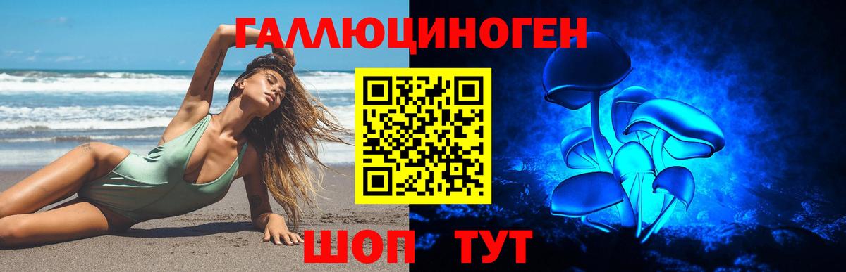 Галлюциногенные грибы ЛСД Димитровград