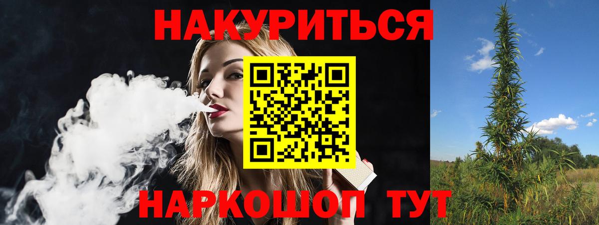 Димитровград  Бошки марихуана тримм  Вход с VPN  Каннабис сатива  Шишки марихуана конопля 